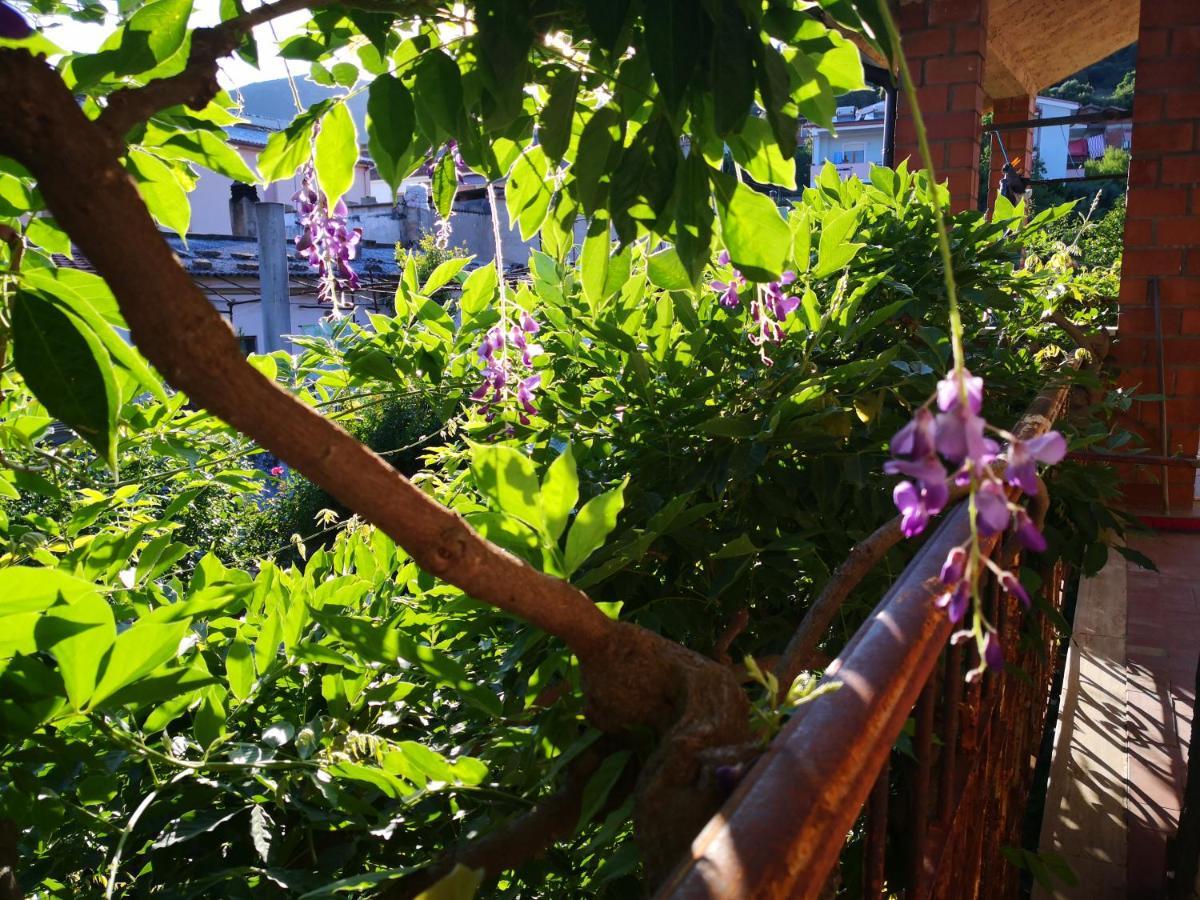 Zia Chiarina Bed & Breakfast San Nicolo Gerrei ภายนอก รูปภาพ
