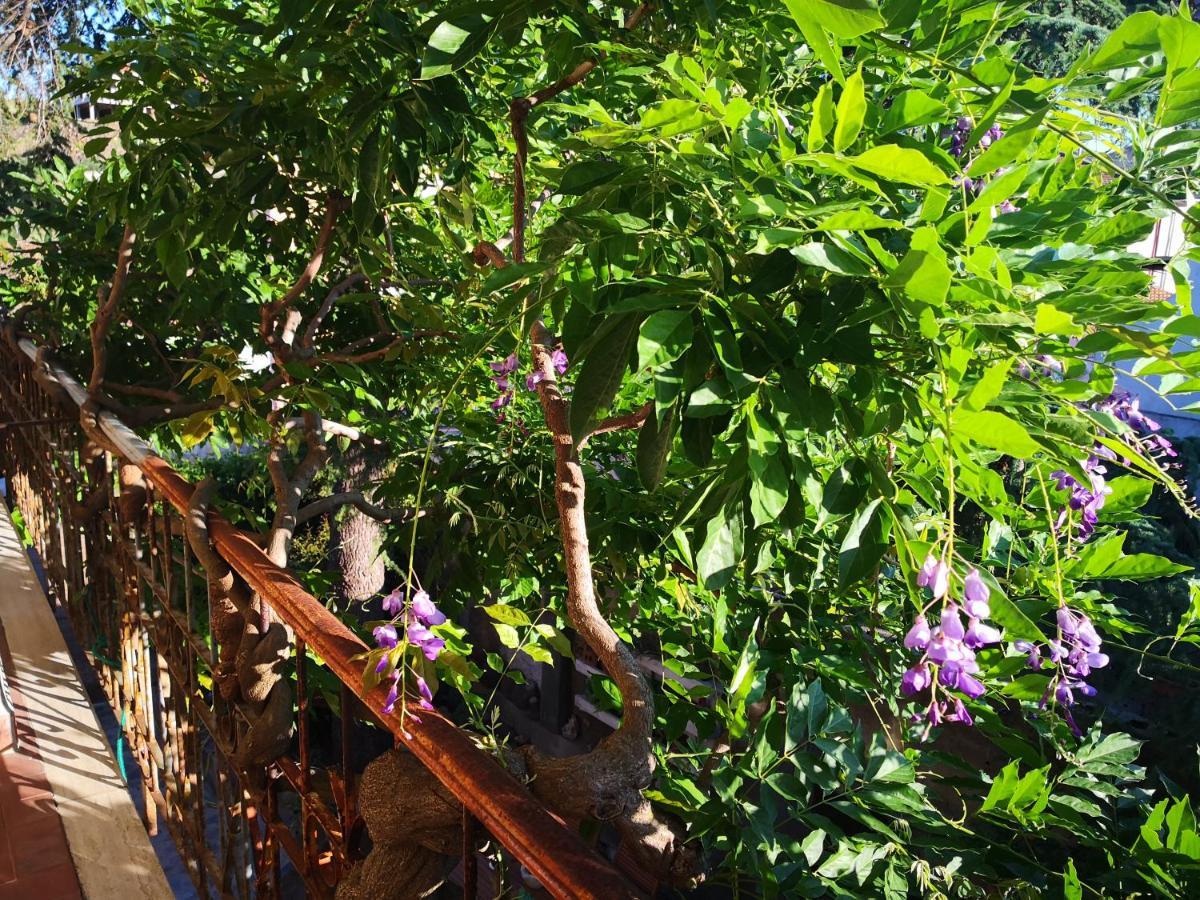 Zia Chiarina Bed & Breakfast San Nicolo Gerrei ภายนอก รูปภาพ
