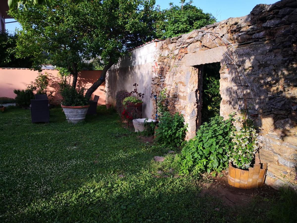 Zia Chiarina Bed & Breakfast San Nicolo Gerrei ภายนอก รูปภาพ