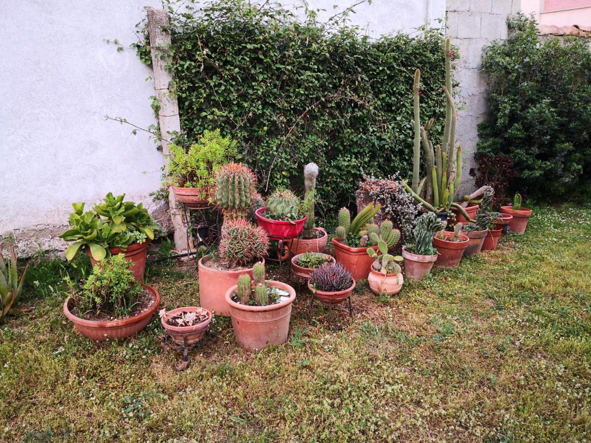 Zia Chiarina Bed & Breakfast San Nicolo Gerrei ภายนอก รูปภาพ