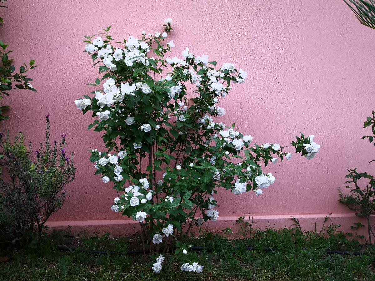 Zia Chiarina Bed & Breakfast San Nicolo Gerrei ภายนอก รูปภาพ