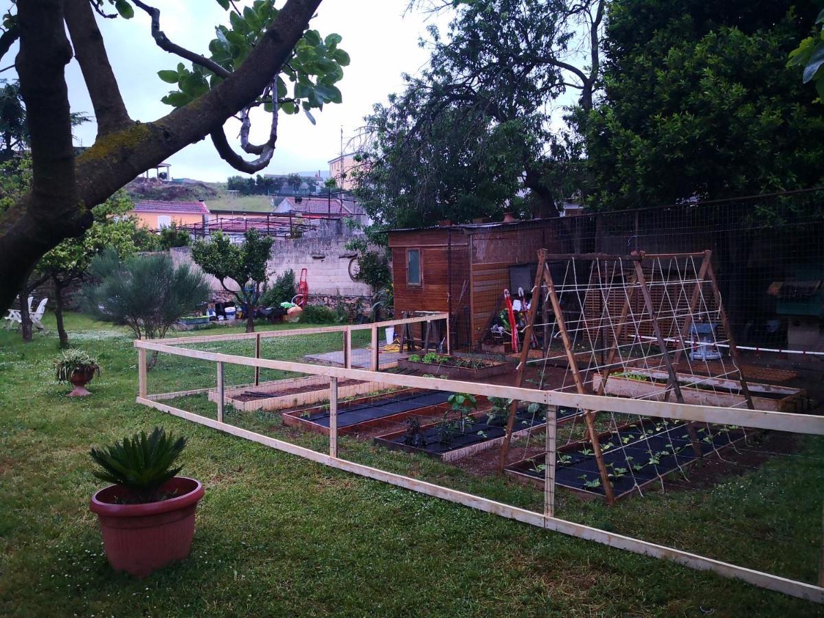 Zia Chiarina Bed & Breakfast San Nicolo Gerrei ภายนอก รูปภาพ