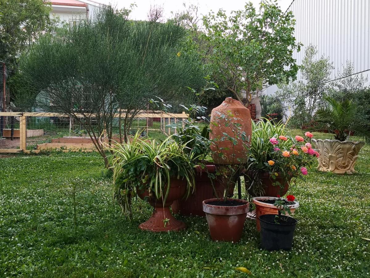 Zia Chiarina Bed & Breakfast San Nicolo Gerrei ภายนอก รูปภาพ