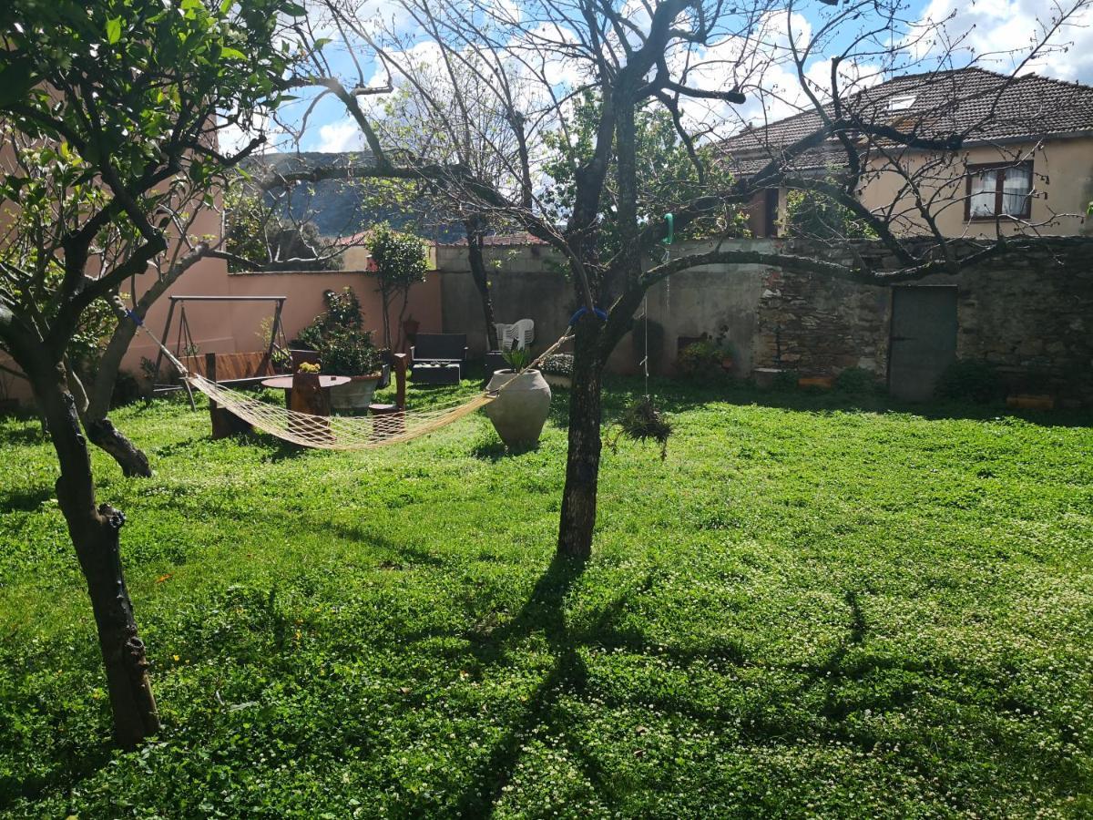 Zia Chiarina Bed & Breakfast San Nicolo Gerrei ภายนอก รูปภาพ
