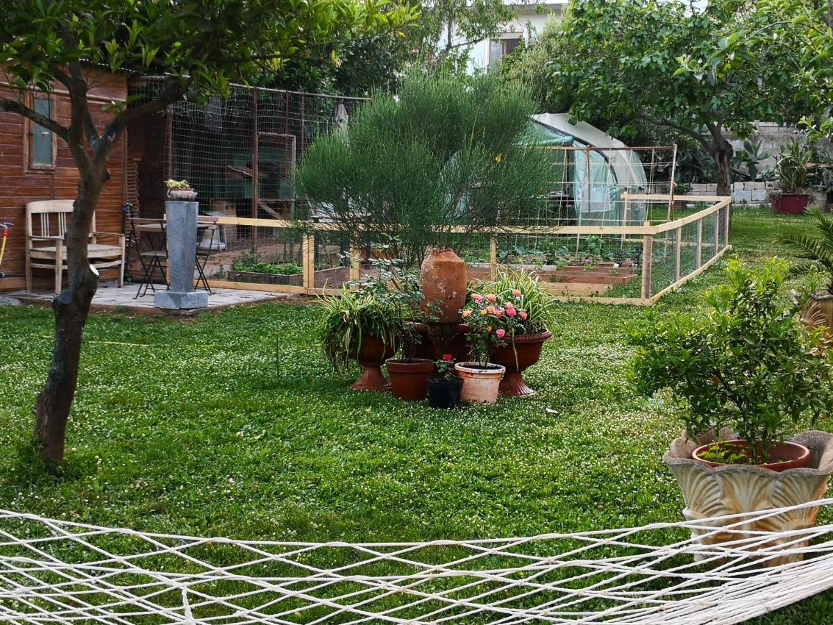 Zia Chiarina Bed & Breakfast San Nicolo Gerrei ภายนอก รูปภาพ