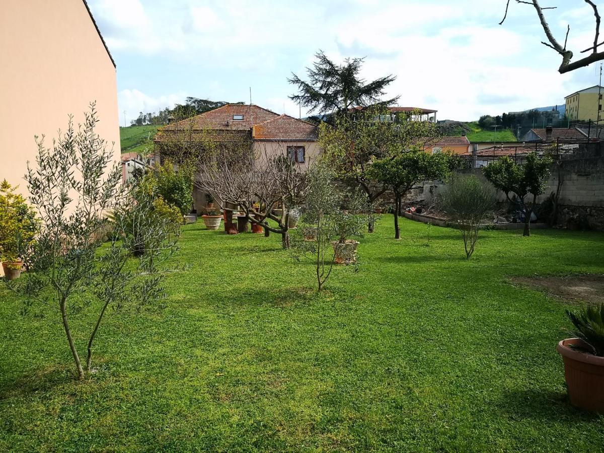 Zia Chiarina Bed & Breakfast San Nicolo Gerrei ภายนอก รูปภาพ