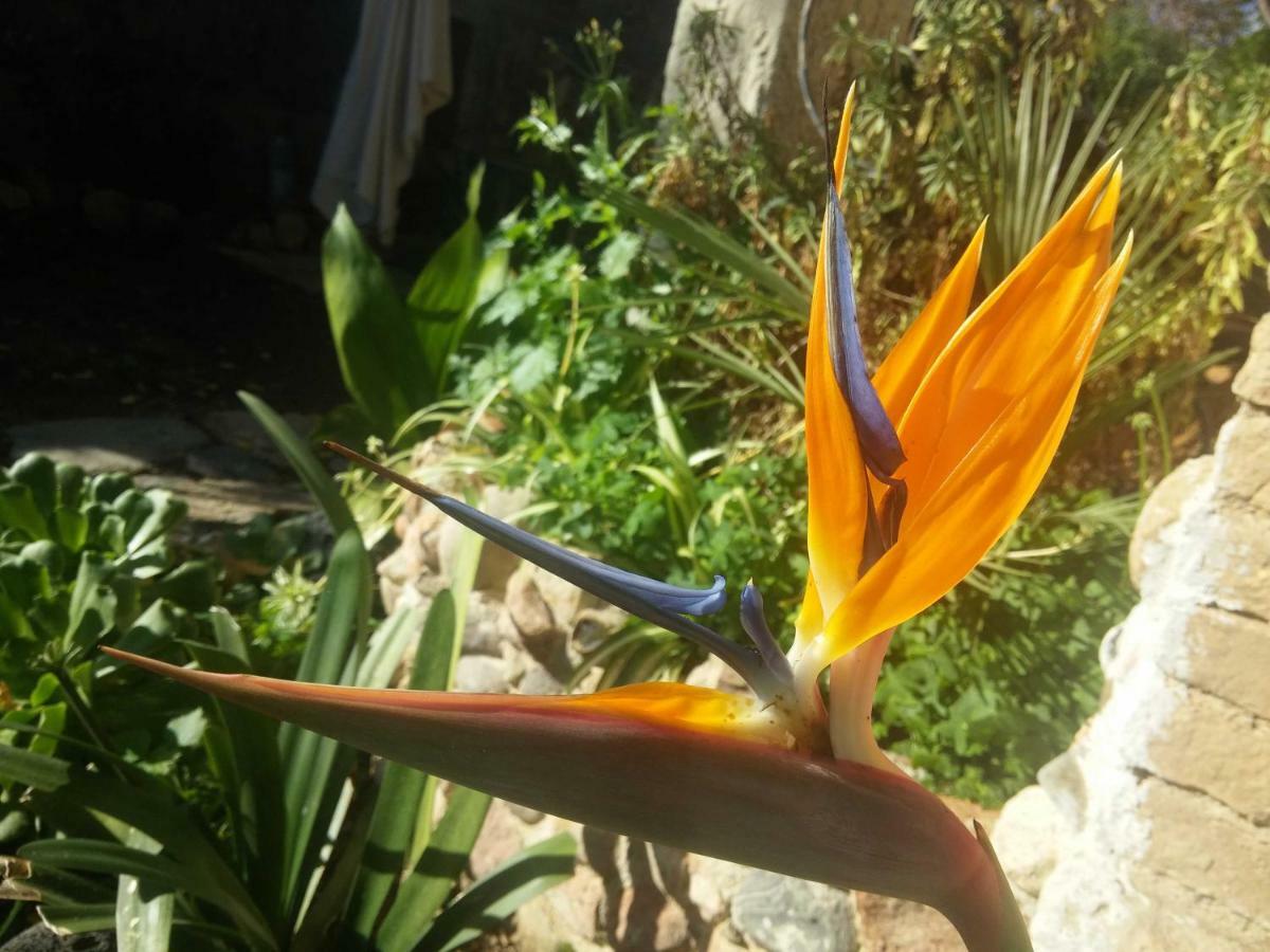 Zia Chiarina Bed & Breakfast San Nicolo Gerrei ภายนอก รูปภาพ