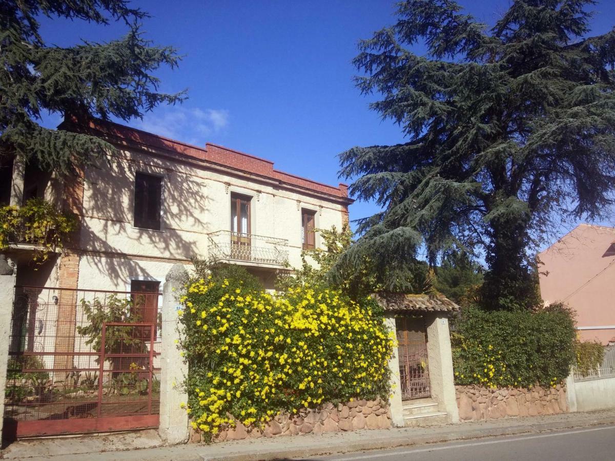 Zia Chiarina Bed & Breakfast San Nicolo Gerrei ภายนอก รูปภาพ