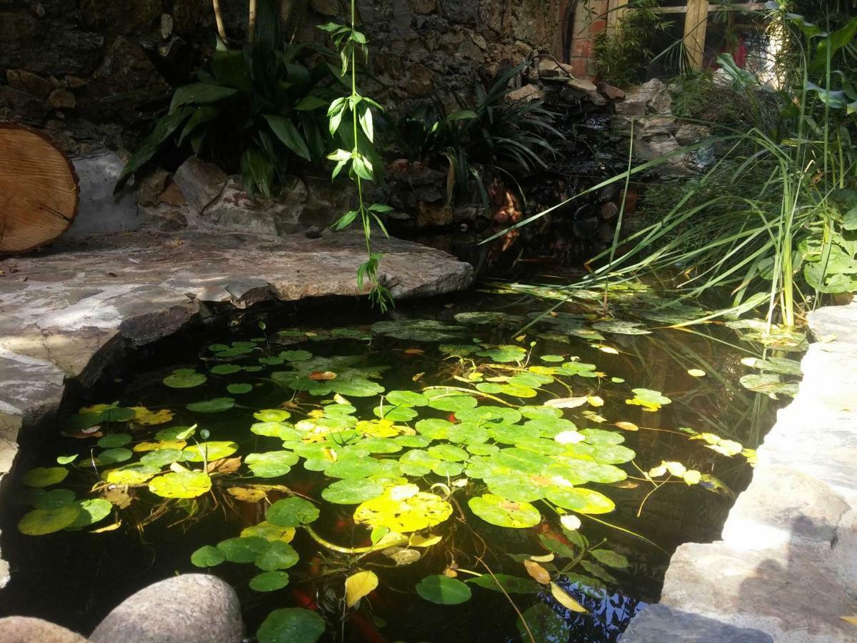 Zia Chiarina Bed & Breakfast San Nicolo Gerrei ภายนอก รูปภาพ