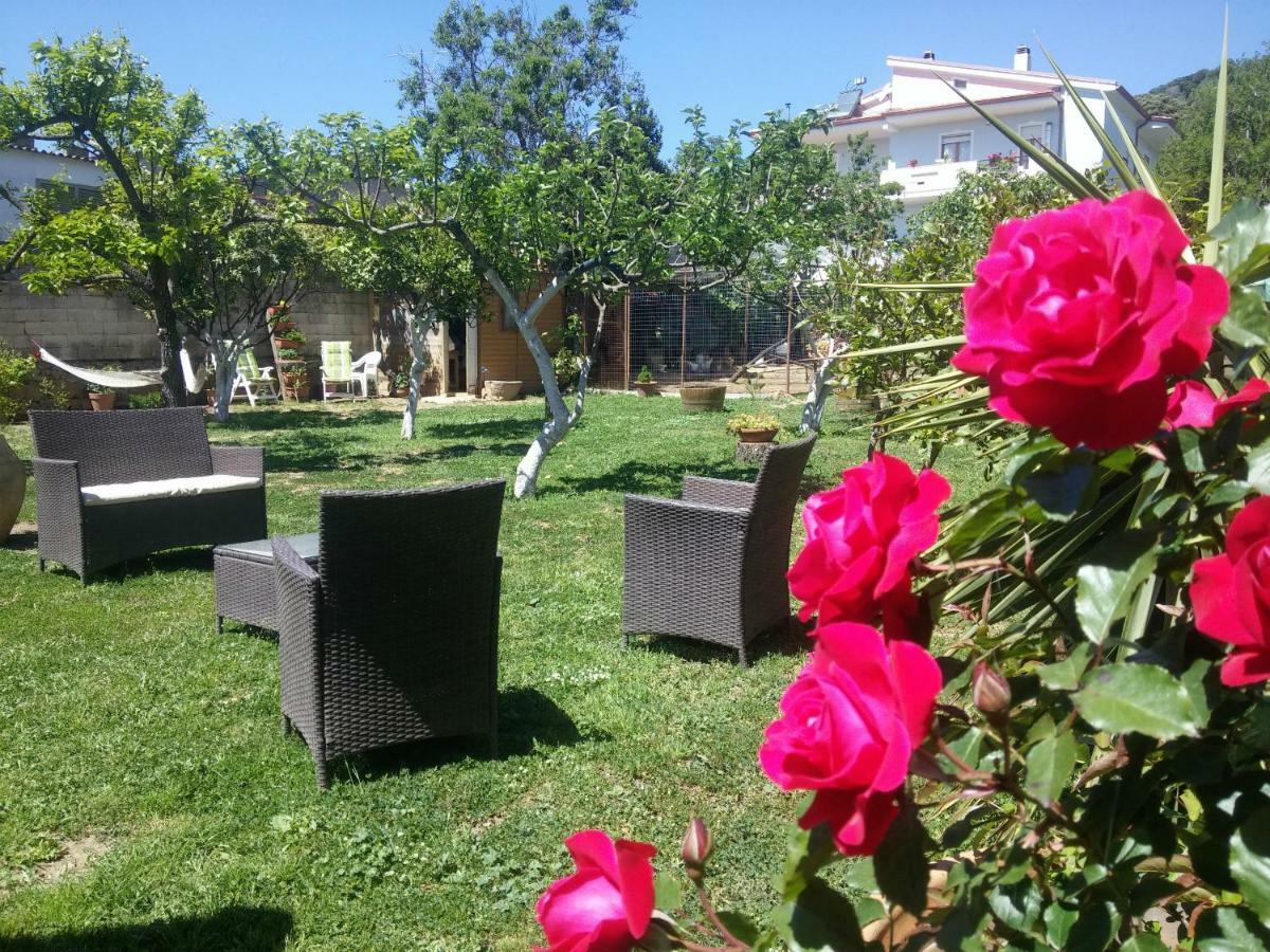 Zia Chiarina Bed & Breakfast San Nicolo Gerrei ภายนอก รูปภาพ