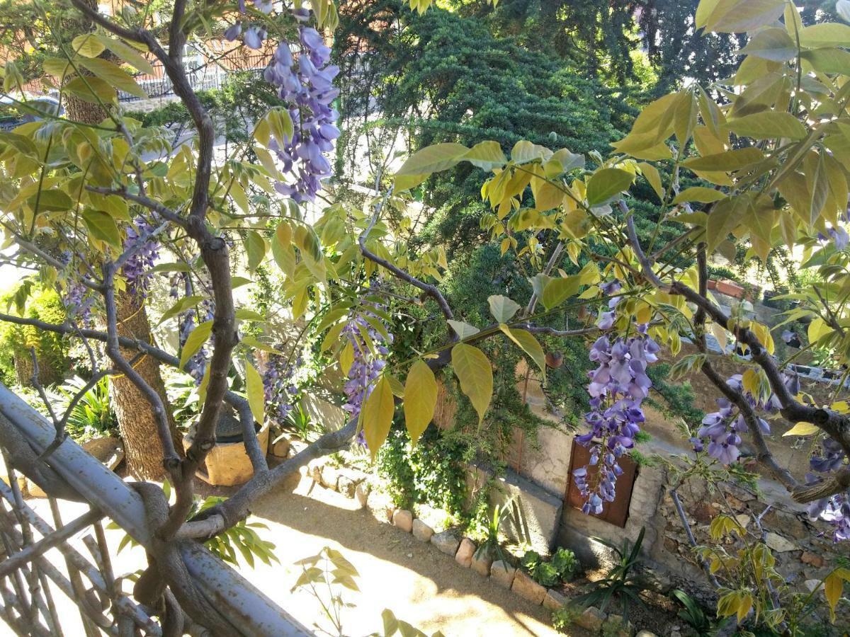 Zia Chiarina Bed & Breakfast San Nicolo Gerrei ภายนอก รูปภาพ