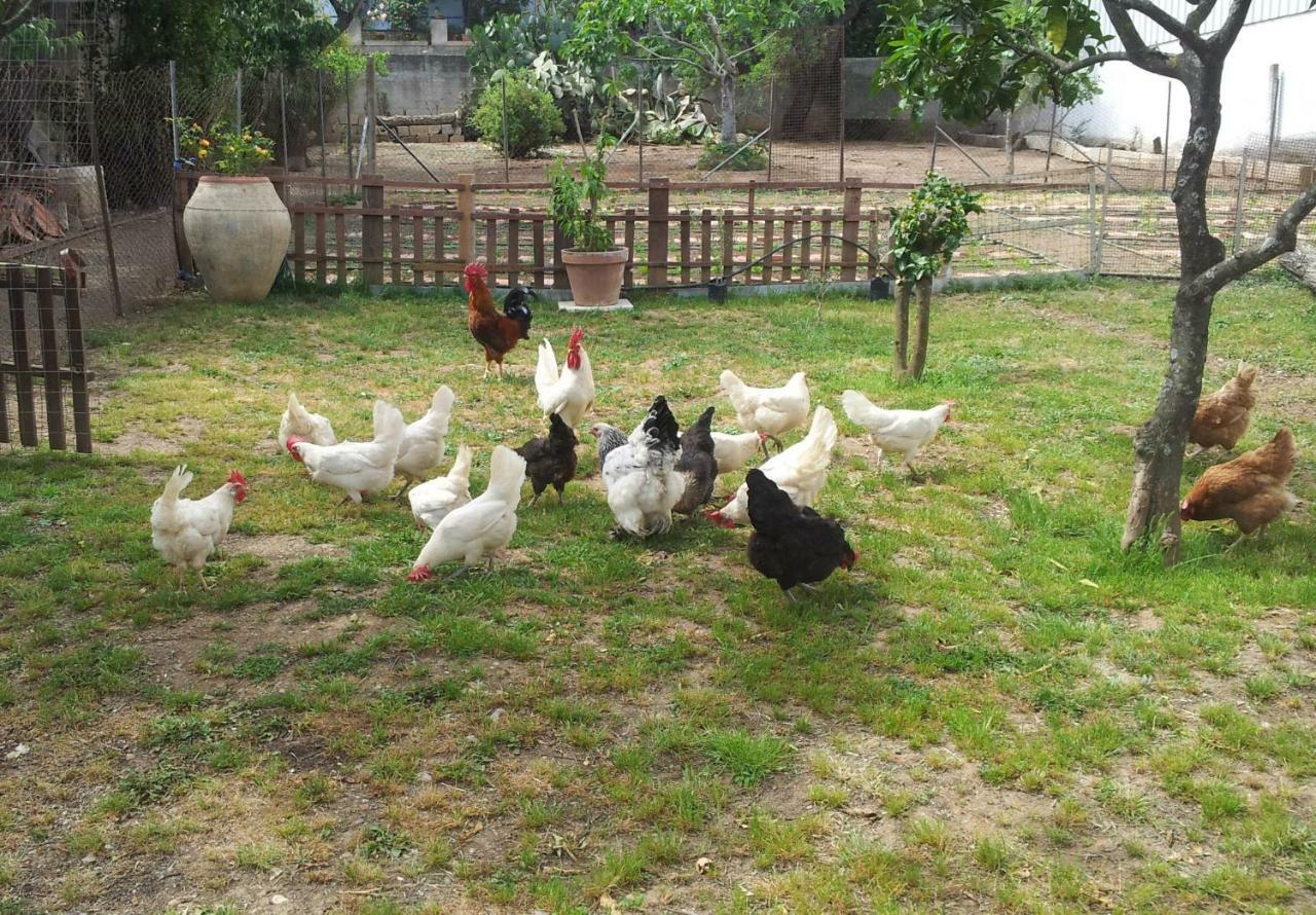 Zia Chiarina Bed & Breakfast San Nicolo Gerrei ภายนอก รูปภาพ
