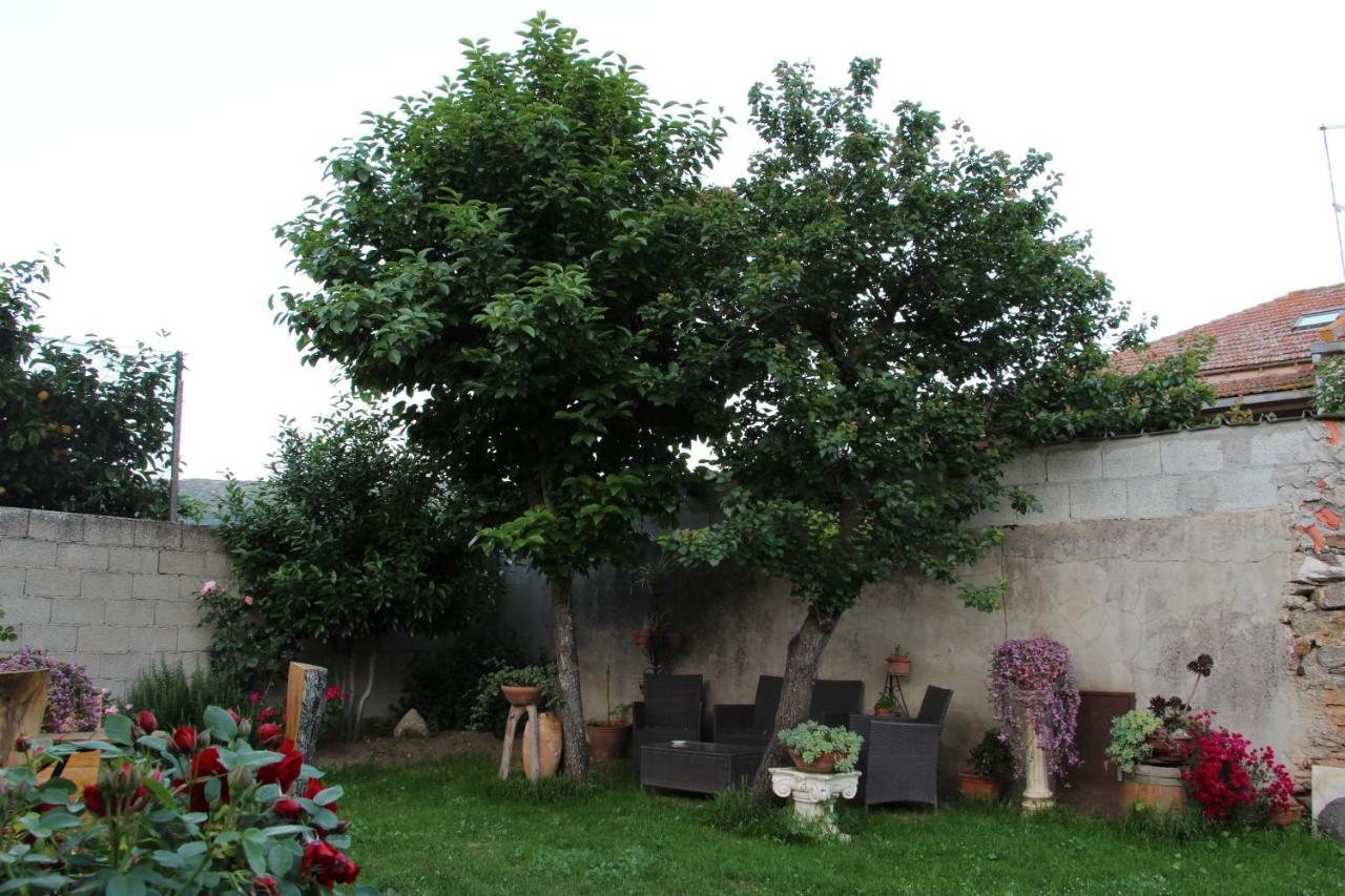 Zia Chiarina Bed & Breakfast San Nicolo Gerrei ภายนอก รูปภาพ