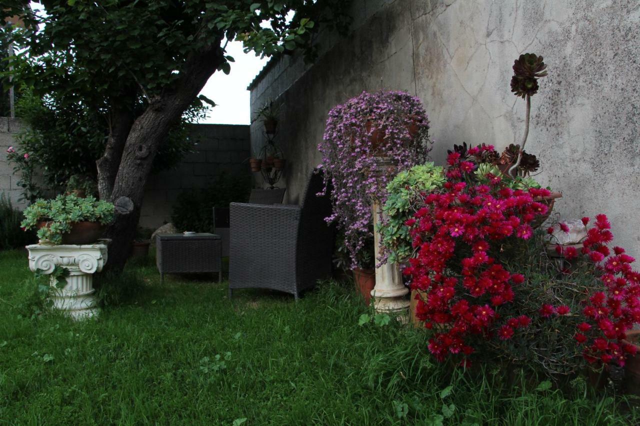 Zia Chiarina Bed & Breakfast San Nicolo Gerrei ภายนอก รูปภาพ